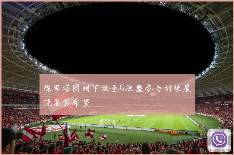 绿军塔图姆下放至G联盟参与训练展现复苏希望